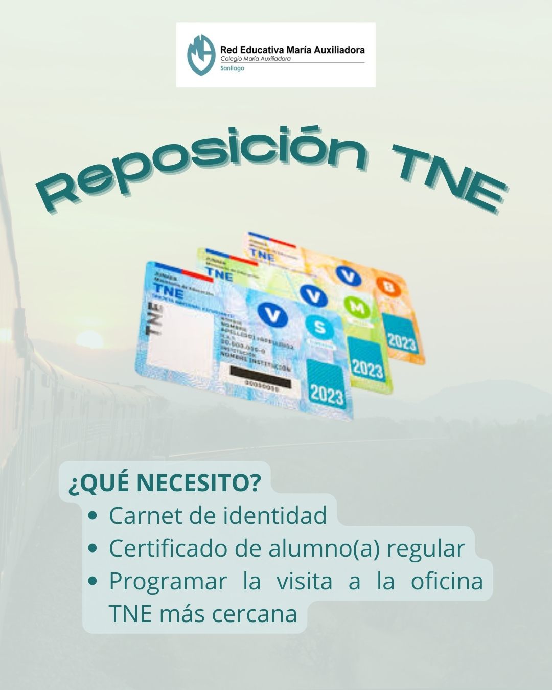 Reposición TNE